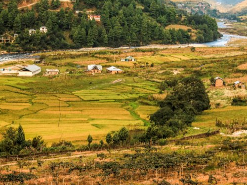 Dirang