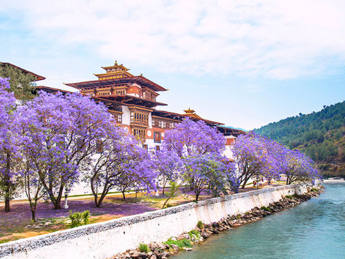 Punakha